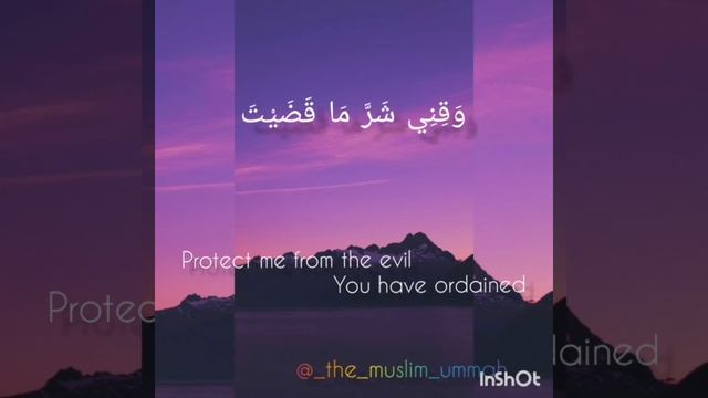 Qunoot || THE MUSLIM UMMAH|| THE MUSLIM UMMAH PRODUCTIONS||OMAR HISHAM AL ARABI смотреть онлайн