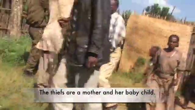 Coffee Thiefs in Ethiopia смотреть онлайн
