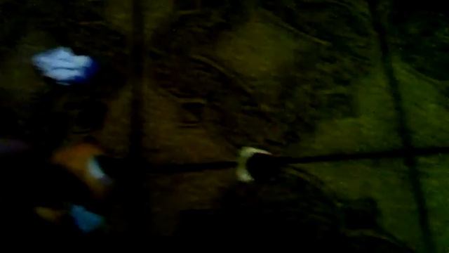 История той чики фокси манго и спринтрапа смотреть онлайн