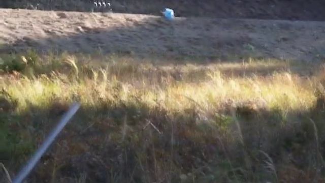 30 06 Sako hammerhead vs 10 kg margarin смотреть онлайн