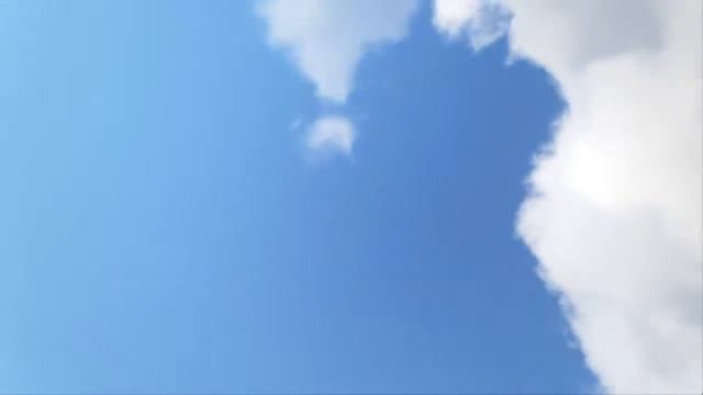 Стрим Ark Survival Evolved смотреть онлайн