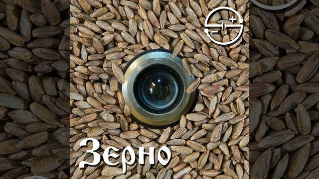 Божья коровка смотреть онлайн