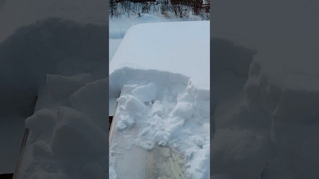 Чистим биовегетарий от снега смотреть онлайн