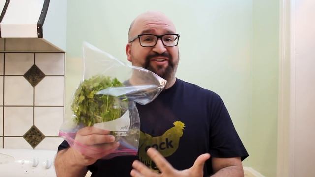 How to Store Cilantro Longer смотреть онлайн