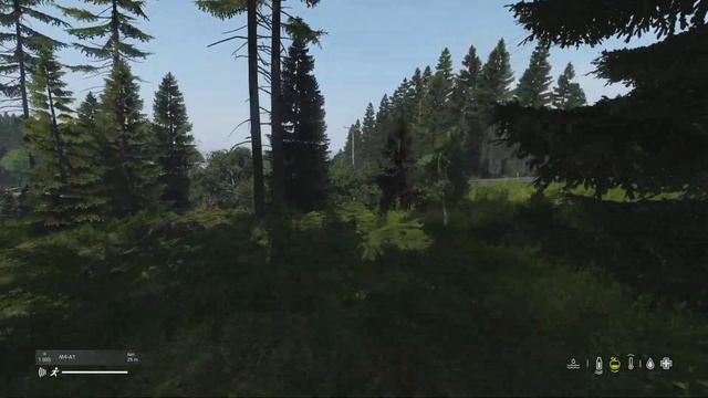 DayZ Мандарин 💀🤪 смотреть онлайн