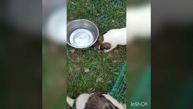 малышам нужен дом смотреть онлайн