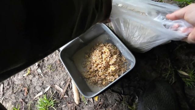 ДИКА ВОДОЙМА! ПЛОТВА на ОВСЯНКУ | КарпФішинг | Риболовля 2023 смотреть онлайн