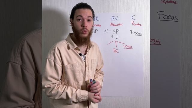 Я дрессирую собак смотреть онлайн