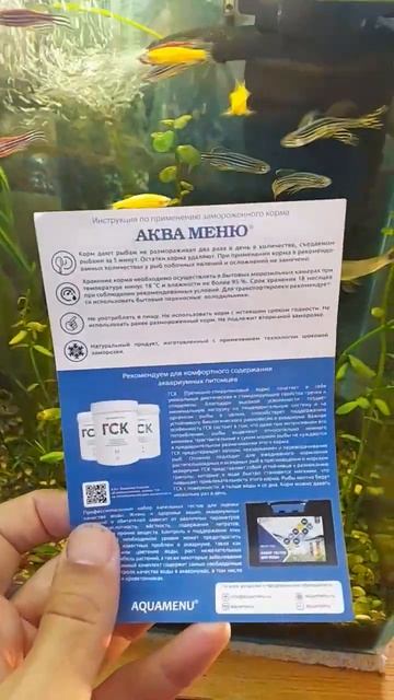 Заморозка Аква Меню смотреть онлайн