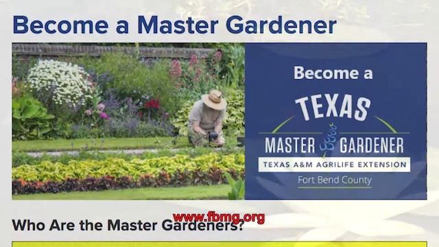 Great American Pastimes - Fort Bend Master Gardeners Staying Connected During the Pandemic смотреть онлайн