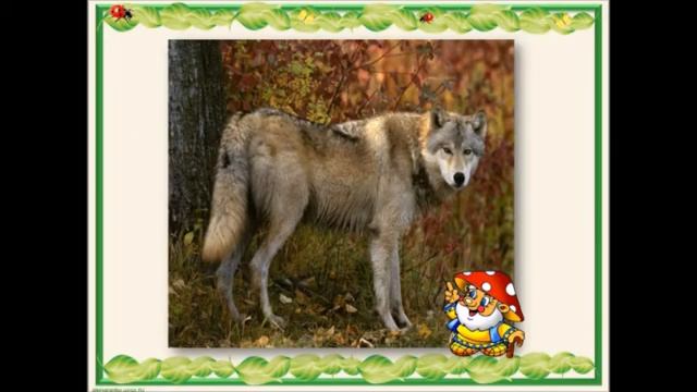 Экологическая игра. 