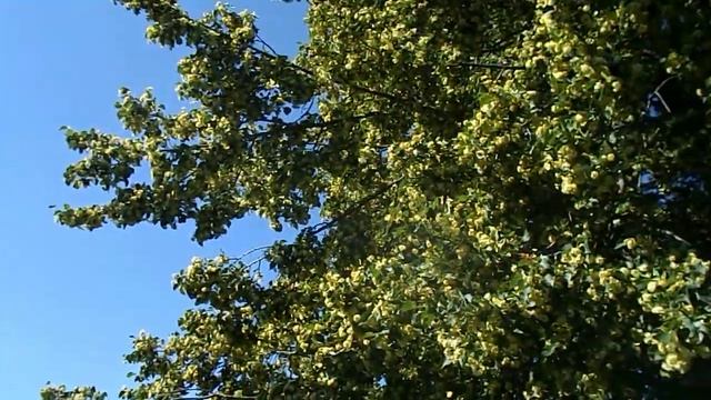 Кумертау здесь. смотреть онлайн