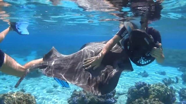 Moorea Tours, Sea Scooter Snorkeling Tour Tahiti French Polynesia смотреть онлайн