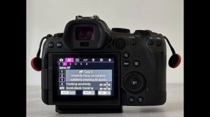 Canon R6 Mark II Setting for Bird Photography