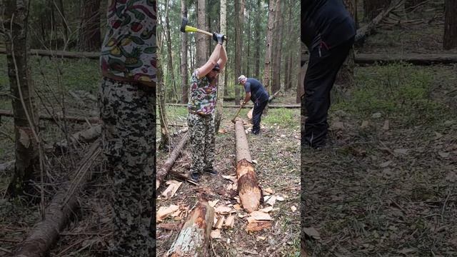 ПОРУБАС #3 26.04.24 АНИКЕЕВКА Заруба с Фёдором (Сосна 30см) 2 разруб смотреть онлайн