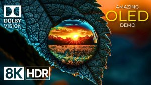 «Дыхание природы» – 8K HDR 60 кадров/с Dolby Vision™ | Гармония в каждом кадре