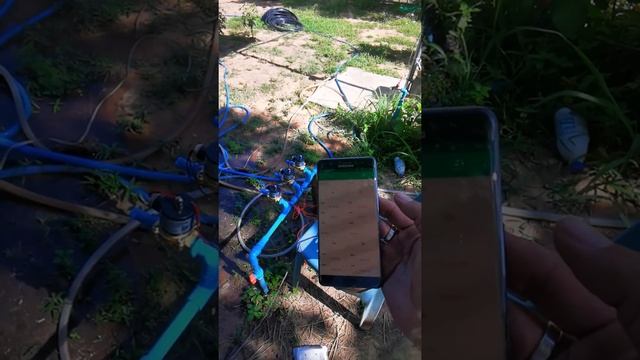 Test Pi.Private Server Blynk смотреть онлайн