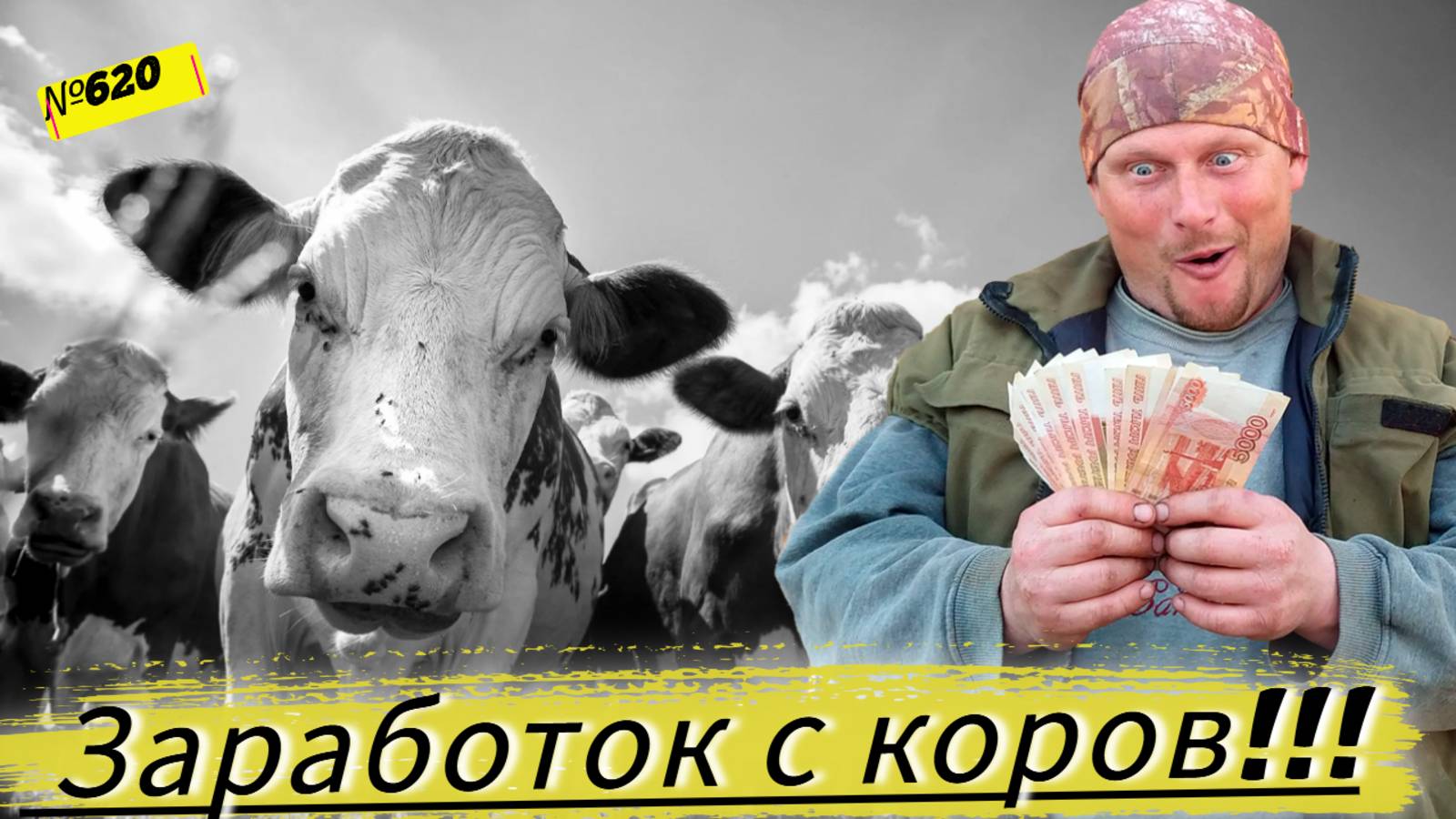 По какой цене мы сдаём молоко? Какую компенсацию мы получаем от государства за его производство? смотреть онлайн