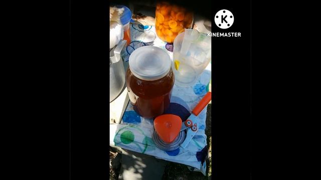 абрикосы на зиму почти в собственном соку без стерилизации смотреть онлайн