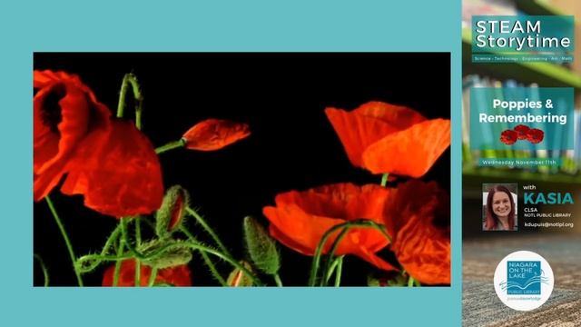 STEAM STORYTIME @ NOTL Library - Poppies & Remembering! смотреть онлайн