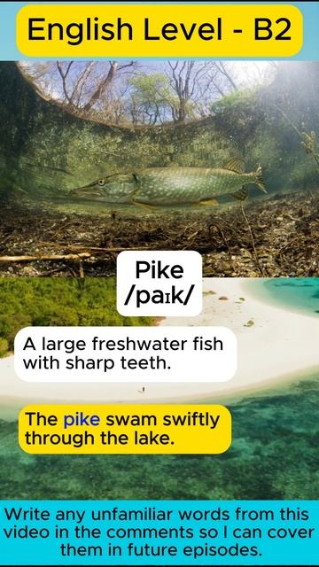 Pike #facts #animals #wildlife #learnenglish #englishspeaking #vocabulary #pike смотреть онлайн