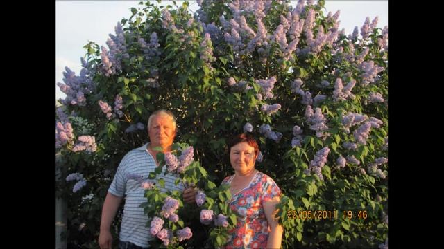 Мамуля с Днем рождения!!! смотреть онлайн
