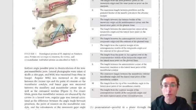 Des trilobites marocains font la couverture de Science смотреть онлайн