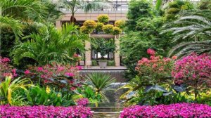 САДЫ США. ВОСХИТИТЕЛЬНЫЕ САДЫ ЛОНГВУД ЛЕТОМ Longwood Gardens. САДЫ ОРАНЖЕРЕЙ И НА ОТКРЫТОМ ВОЗДУХЕ