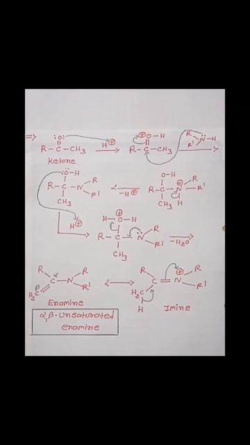 Stork Reaction || Stork Enamine Reaction. || Formation of Carbon - Carbon Bonds || organic reactio смотреть онлайн