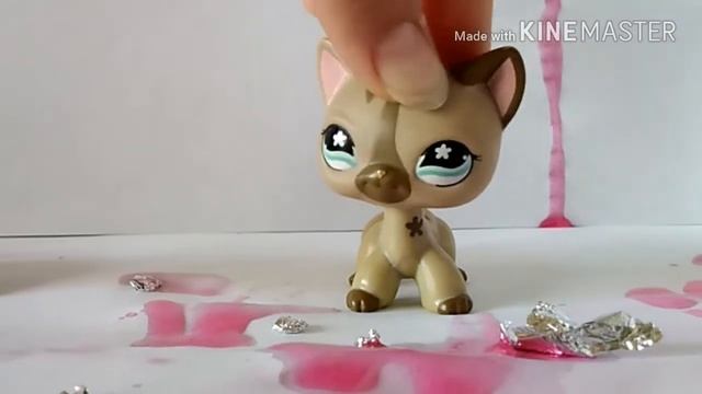 LPS: сериал влюбилась не в того 9 серия 😊😉😁 смотреть онлайн