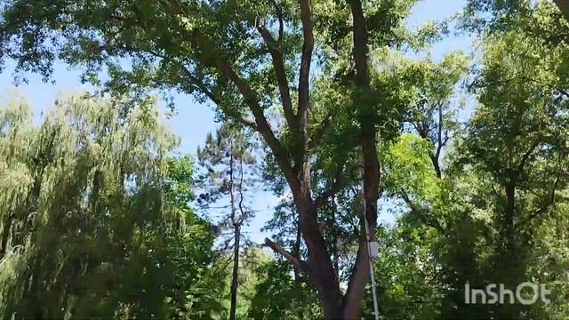 Капельница,прогулка смотреть онлайн