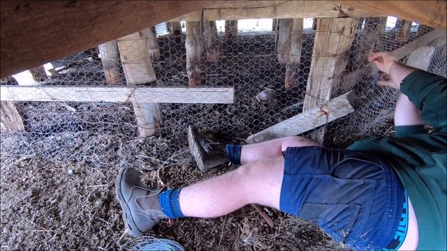 Prep For 2020 Shearing Plus Some Crutching смотреть онлайн
