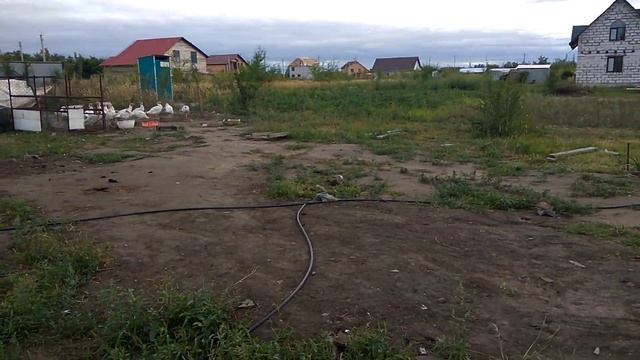 Приглашение на стрим. Отчёт по стройке