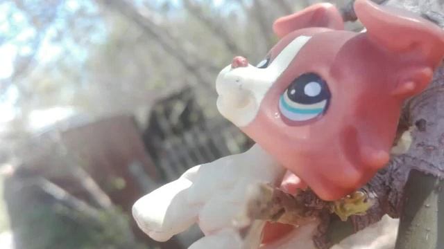 гуляют с лпс смотреть онлайн