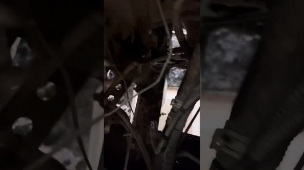 Замена ГБЦ на Газель бизнес двигатель 4216 евро 4