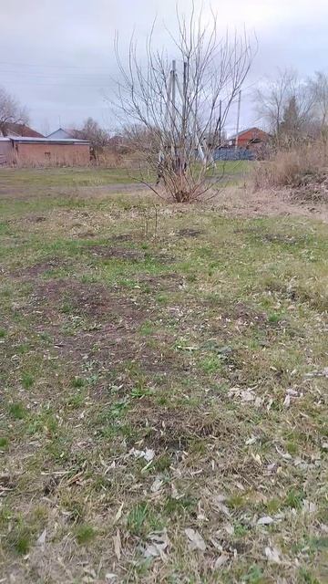 Дима против никиты