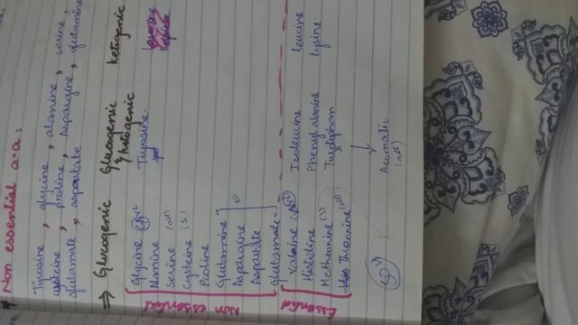 Classification of amino acids in different ways смотреть онлайн