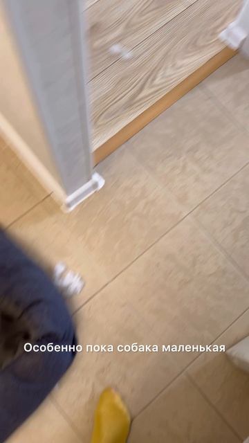 Минусы собаководства 😔