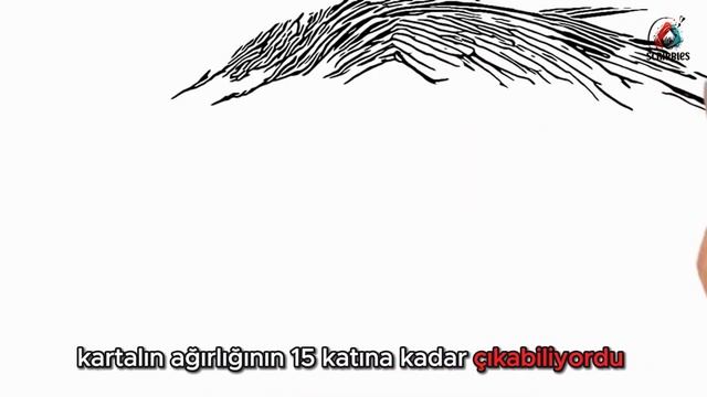 Korku kuşları: Şans eseri nesli tükendi. смотреть онлайн