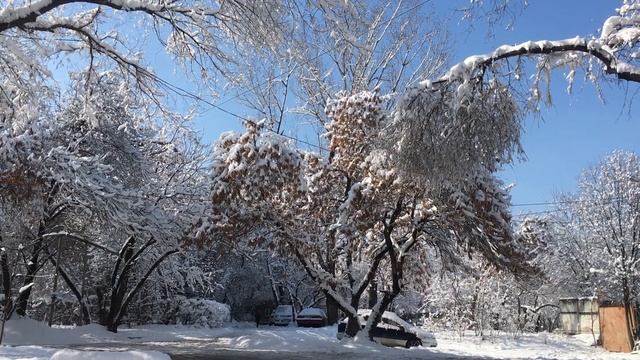 Алма-Ата. Зима. Микрорайоны смотреть онлайн
