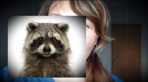 Это залёт, Пикта...