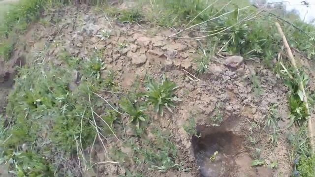 Пермакультурный проект "Живой дом". Сажаем лесосад вокруг пруда! смотреть онлайн