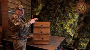 МЕНЯЕМ ПЧЕЛУ. МЕТОДЫ СОБСТВЕННОЙ СЕЛЕКЦИИ.