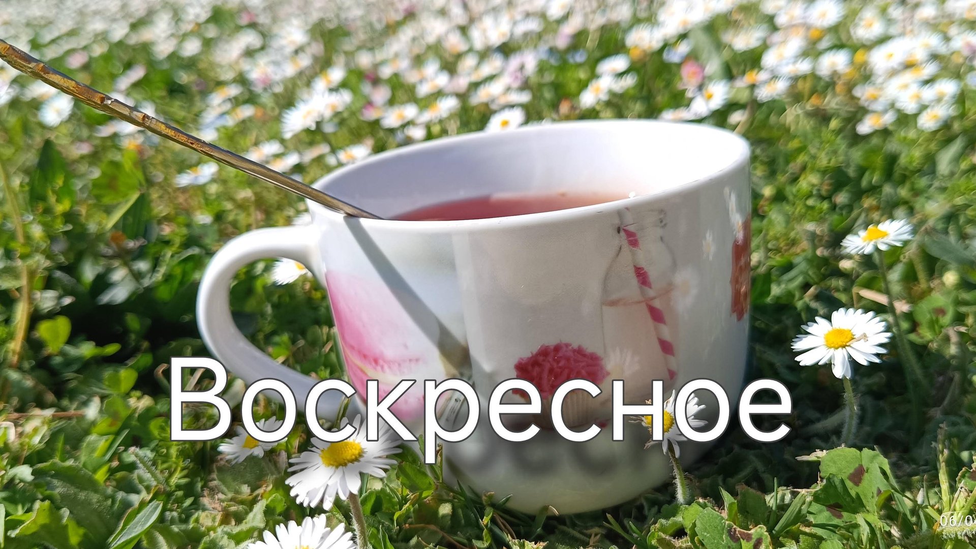 Забрали друга Дениса в гости. Загораю. смотреть онлайн