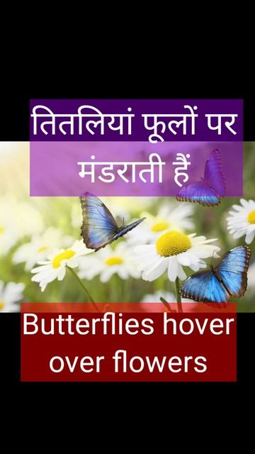 तितलियां फूलों पर मंडराती है की इंग्लिश II Hover Meaning II Butterflies II Daily Use Sentence II смотреть онлайн