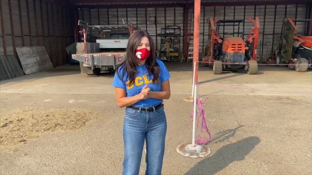 Solving word problems perimeter смотреть онлайн