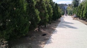Прогулка по обновлённой набережной, Таганрог