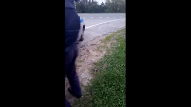 ИДПС Замерзаю！ смотреть онлайн