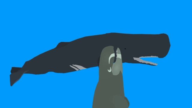 Livyatan VS Sperm Whale