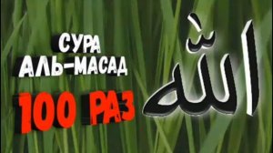 Сура Аль-масад 100 раз